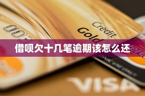 借呗欠十几笔逾期该怎么还