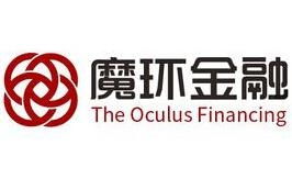 上海魔环金融信息服务