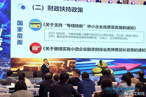 湖南专精特新企业金融服务大会召开,中信集团打造科技金融新范式
