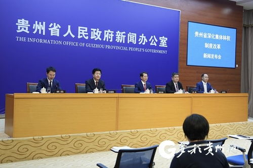 贵州制定四大举措 完善林业金融服务机制