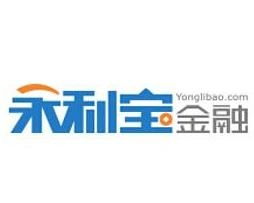 上海永利宝金融信息服务